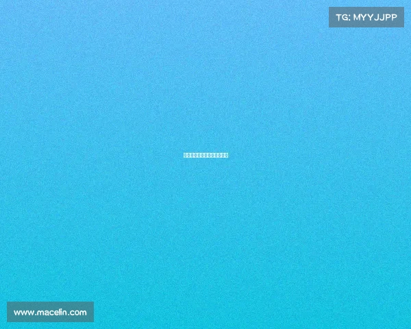 赛车俱乐部参加的赛事叫什么