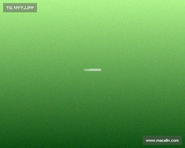 cba在中山有没有主场