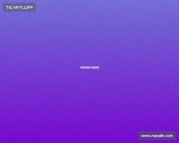 中体杯拳王赛事-中国拳王赛