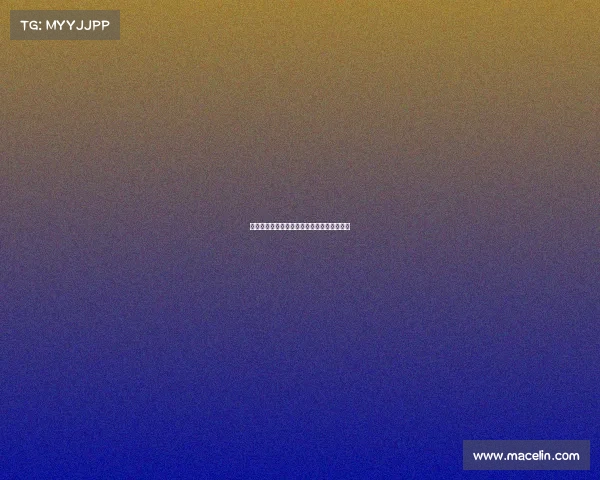 法国女足中国赛事激情对决荣耀之战精彩上演