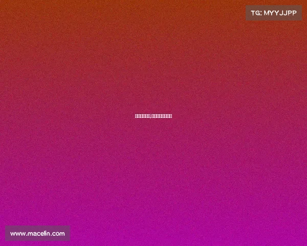 权健最新赛事,权健最新赛事消息