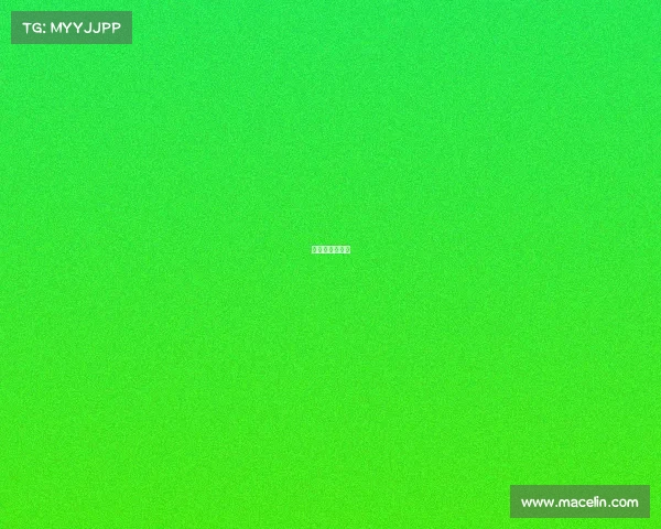 英锦赛赛事安排