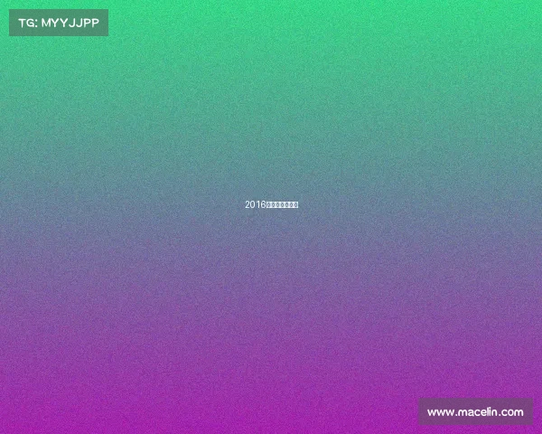 2016合肥国际马拉松