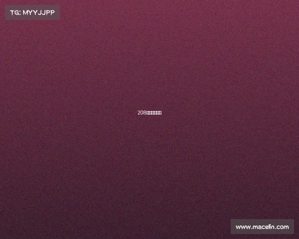 208年北京冬奥会